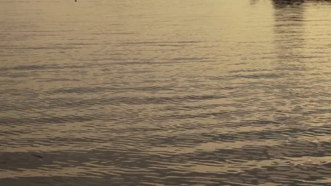 The glare of the setting sun on the waves water surface river or lake. Stock Footage 80086592