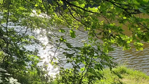 Glare of the sun on the river Stock-Footage 134937327