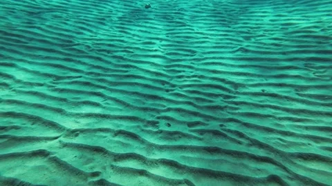 The glare of the sun on the sandy seabed in shallow water Stock Footage 230505585