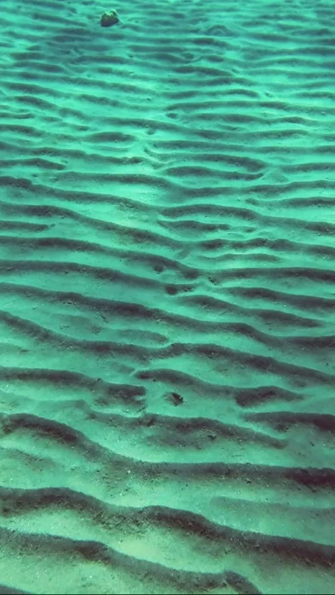 The glare of the sun on the sandy seabed in shallow water Stock Footage 232764611