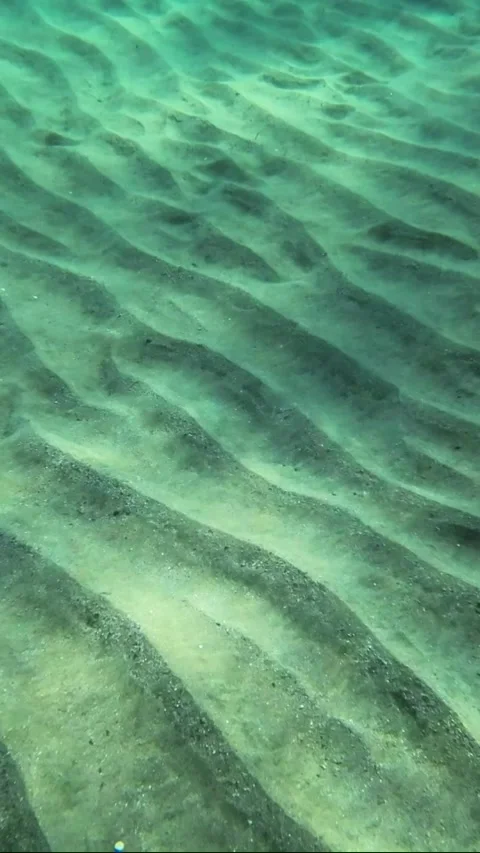 The glare of the sun on the sandy seabed in shallow water Stock Footage 232764718