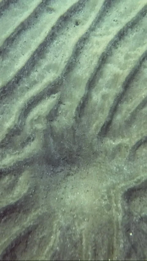 The glare of the sun on the sandy seabed in shallow water Stock Footage 232766391