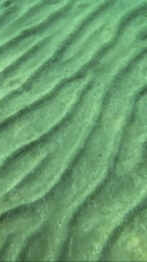 The glare of the sun on the sandy seabed in shallow water Stock Footage 232766396