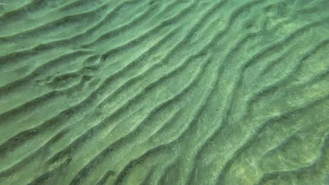 The glare of the sun on the sandy seabed in shallow water Stock Footage 232773780