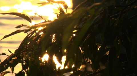 The glare of the sun on the surface of the water. Stock Footage 54908155