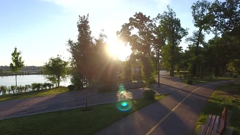 Glare of the sun through the leaves Stock Footage 82568288