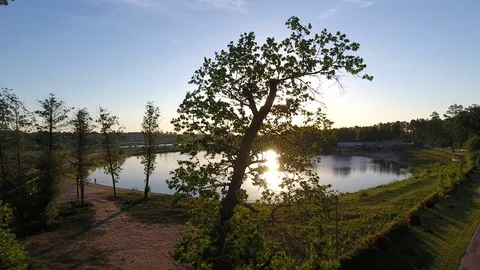 Glare of the sun through the leaves, round lake Stock Footage 82574191
