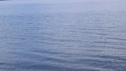 The glare of the sun on the waves sea surface. Stock Footage 80086262