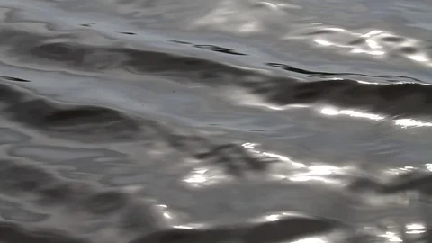 Glare of sunlight on the surface of waves from a floating steamer Video stock 76440423