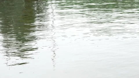 Glare surface water in river Stock Footage 159441359