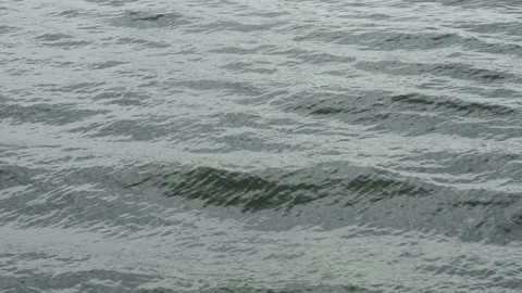 Glare surface water in river Stock Footage 169792717