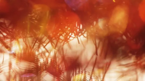Glare of tinsel  3 Stock Footage 982036