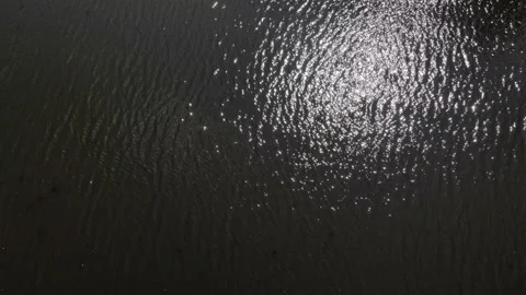 Glare on the water captured from a drone Stock Footage 144334454