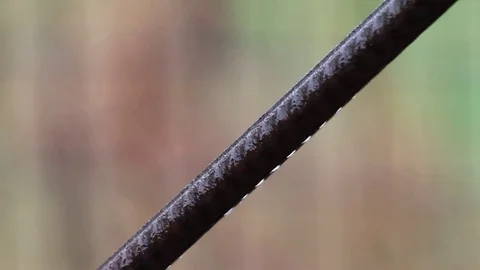 Glare from the water flowing down the pipe during the rain Video stock 76464636