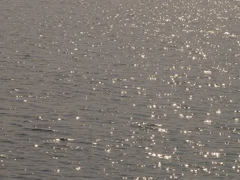 The glare on the water Stock Footage 91785860