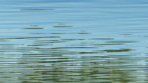 Glare on the Water Stock Footage 113954495