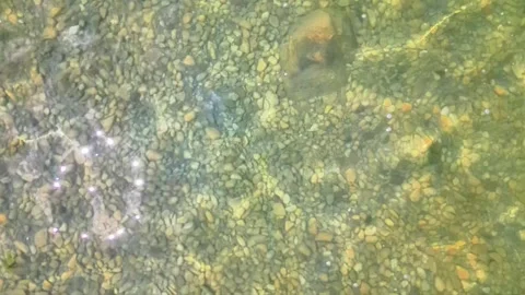 Glare on the water Video stock 313506495