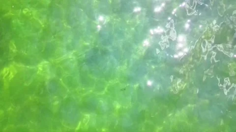 Glare on the  water in the lake Video stock 313506493