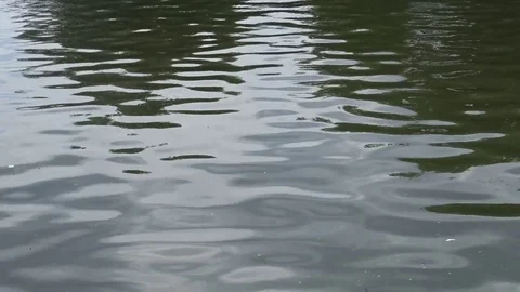 Glare on the water of the lake, the reflection of the sun in the water Stock Footage 75487730