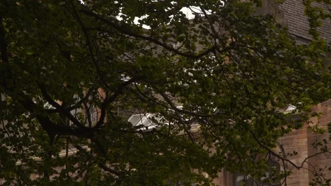 Glasgow University 2 Stock Footage 124611845