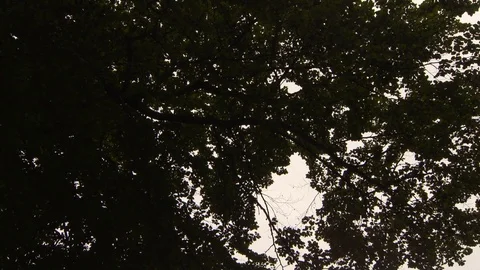 Glasgow University Stock Footage 122337814