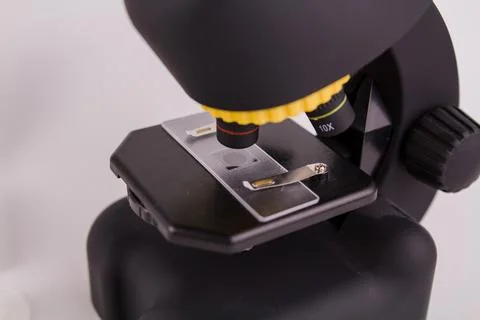 Glass for analysis under a microscope with a sample on a white background Stock Photos