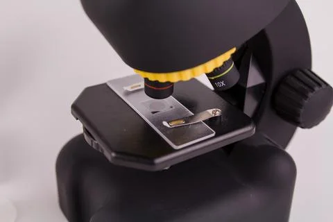 Glass for analysis under a microscope with a sample on a white background Stock Photos