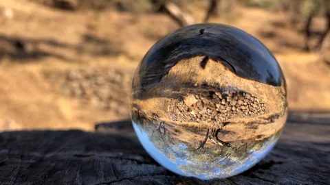 Glass ball on a cut tree, the camera is focused to it and rotating around it. Stock Footage 115094870