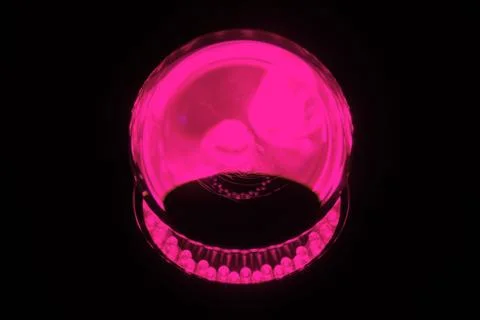 Glass ball Stock Photos