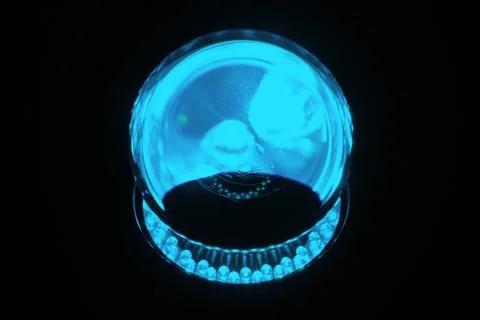 Glass ball Stock Photos