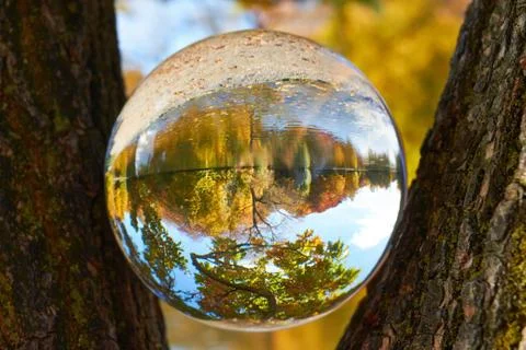 Glass ball Stock Photos