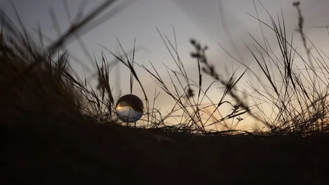 Glass ball in the sunset rays in the silhouette of the grass dramatically waving Stock Footage 113997347