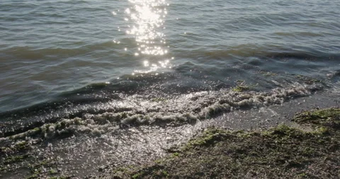 Glass Beach in Bellingham Washington | Stock Video | Pond5