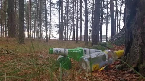 Glass Beer Bottles Thrown Out In The For... | Stock Video | Pond5