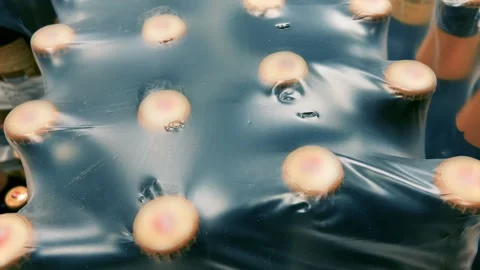 Glass Beer Bottles Wrapped in Packaging Film Top View | Bottled Alcoholic Stock Footage 315325141