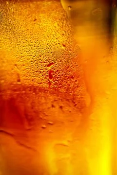 Glass of beer with bubbles Stock Photos