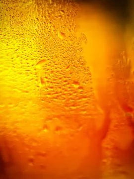 Glass of beer with bubbles Stock Photos