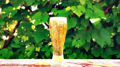 Glass of beer Stock Footage 24602967