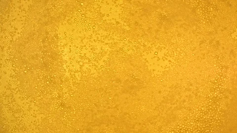 Glass of beer Stock Footage 146719899