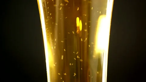 A glass of beer Stock Footage 169453230