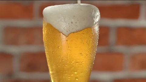 Glass of beer with froth and water drops over brick wall Stock Footage 77825853