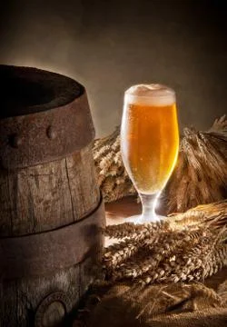 Glass of beer Stock Photos