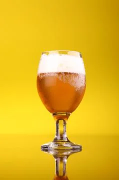 Glass of beer Stock Photos