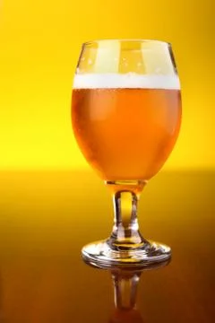 Glass of beer Stock Photos