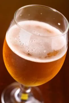 Glass of beer Stock Photos