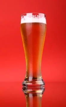 Glass of beer Stock Photos