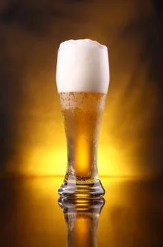 Glass of beer Stock Photos