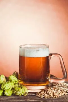 Glass of beer Stock Photos
