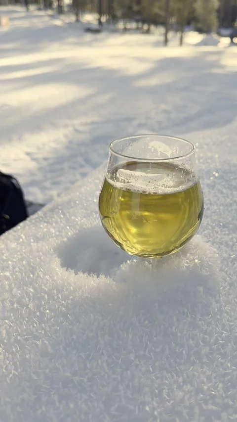 Glass of beer in the snow, vertical Stock Footage 301819077
