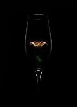 Glass on a black background Stock Photos